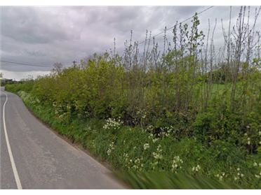 Main image of Gainstown, Navan, Meath