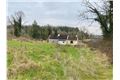 Property image of Cartron , Kilmore, Roscommon