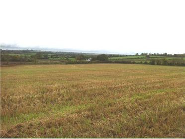 Main image of Collegeland Moynalvey, Summerhill, Meath