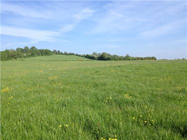 Main image of 62 Acres, Clonbrock & Garrendenny, Newtown Cross, Crettyard, Laois