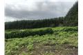 Property image of Site 8.67 Acres / 3.51 Hectares at Kilmalin, Enniskerry, Wicklow