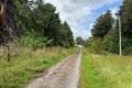 Corskeagh