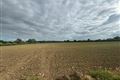 C. 45.2 Acre Residential Farm, For Sale by Public Auction, Athcarne