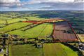 C. 45.2 Acre Residential Farm, For Sale by Public Auction, Athcarne