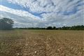 C. 45.2 Acre Residential Farm, For Sale by Public Auction, Athcarne