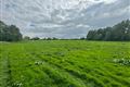 C. 45.2 Acre Residential Farm, For Sale by Public Auction, Athcarne