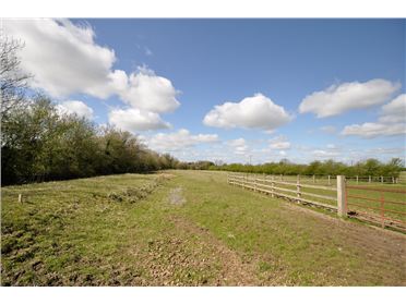 Main image of 2 Acre Site with FPP 3 Detached Bungalows, Stephenstown South,, Naas, Kildare