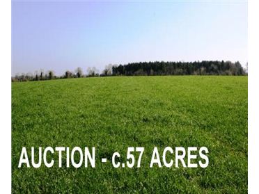 Main image of Rathangan Demense,Rathangan, Co. Kildare - approx. 22.66 hectares (57 acres)