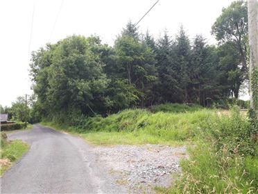 Main image of Forestry Lands, Kiltycarney, Jamestown, Leitrim