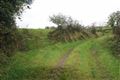 Tivelaney, Shantonagh