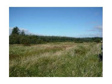 Property image of Tullogher, Mullinavat, Co. Kilkenny