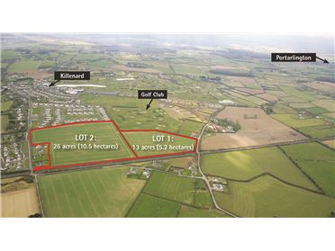 Main image of 39 Acres, Tierhogar, Killenard, Laois