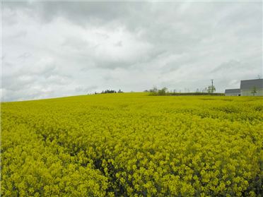 Main image of Parsonstown, Lobinstown, Navan, Co. Meath
