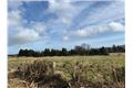 Property image of Site B, Sraghmore, Roundwood, Wicklow