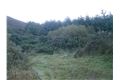 Forestry Land at Killary