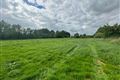 C. 45.2 Acre Residential Farm, Athcarne