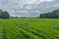 C. 45.2 Acre Residential Farm, Athcarne