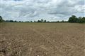 C. 45.2 Acre Residential Farm, Athcarne