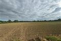 C. 45.2 Acre Residential Farm, Athcarne