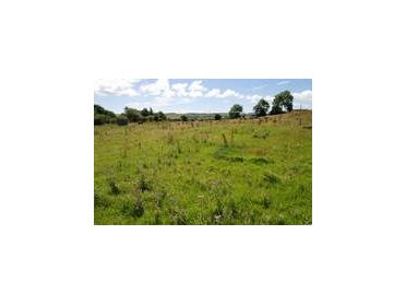 Main image of Dromig, Skibbereen, Cork West