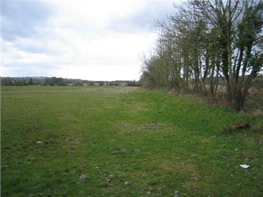 Main image of 21.9 Acres at Collierstown, Bellewstown, Co. Meath