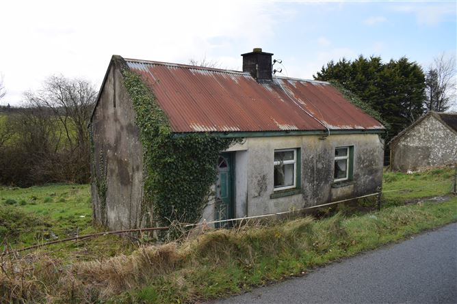 Site and Old Cottage at Kilgorey, Crettyard, Laois