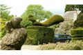 Kilmokea Gardens,Great Island, Campile, County Wexford