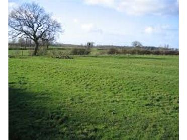 Main image of Barstown, Dunboyne, Co. Meath -  Approx 29 acres