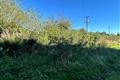 Ragwood