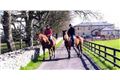 Luxury self catering farm,Newmarket-on-Fergus, Clare