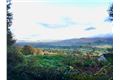 Property image of Scragg Carrigatoher, Nenagh, Tipperary