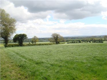 Main image of 25.38 Acres Knocknagalliagh, Redhills, Kildare, Kildare