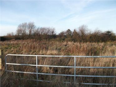 Main image of Kiltaghan, Rathangan, Co. Kildare