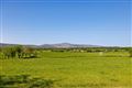 Borkill More on C.1 Acre