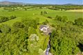 Borkill More on C.1 Acre