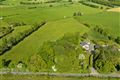 Borkill More on C.1 Acre