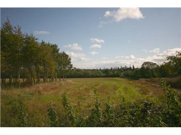 Main image of Blackcastle, Slane Road, Navan, Co. Meath