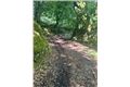 Ballinabarny Gap, Glen of Imaal, Old two story Farmhouse on 0.89 Ha.(2.19 ac.) 