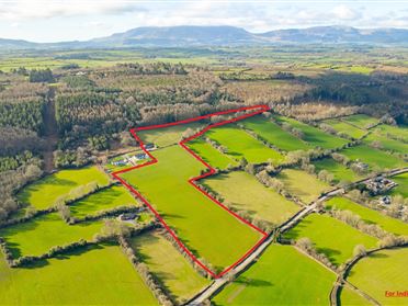 Lands 13.07 Acres, Coolnamuck, Carrick-On-Suir, Co. Tipperary