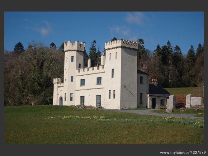 Country Castle.  ,Ballinlough East, Bansha,  Tipperary, Ireland