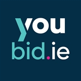 Image for youbid.ie