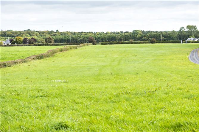 Jenkinstown, Jenkinstown Park, Kilkenny, Co. Kilkenny
