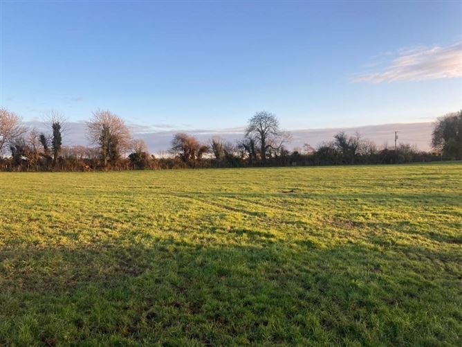 Ballyboy, Ferns, Wexford