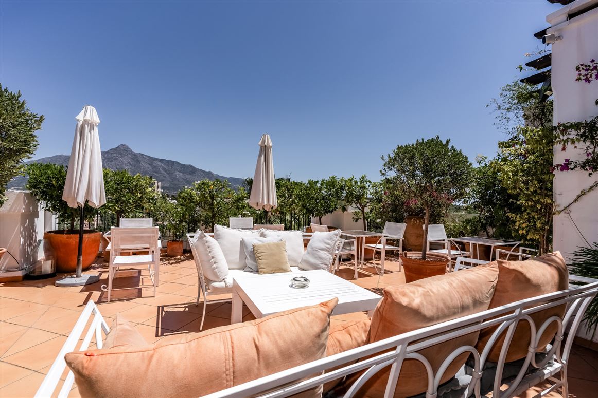 Spain, Marbella, Nueva Andalucia - COSTA-01068P