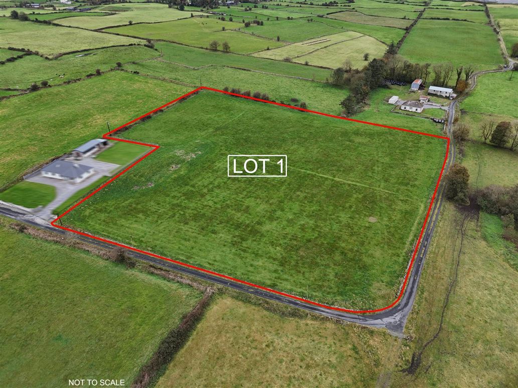 Lot 1 - C. 6.50 Acres, Shannagh More, Glenamaddy, County Galway