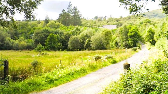 Lands Tawnyvorgal, Lough Eske, Donegal Town, Co. Donegal