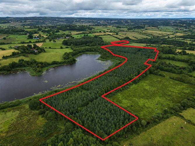 Woodfield, Kilkelly, Mayo