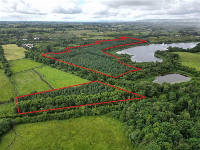 Woodfield, Kilkelly, Mayo