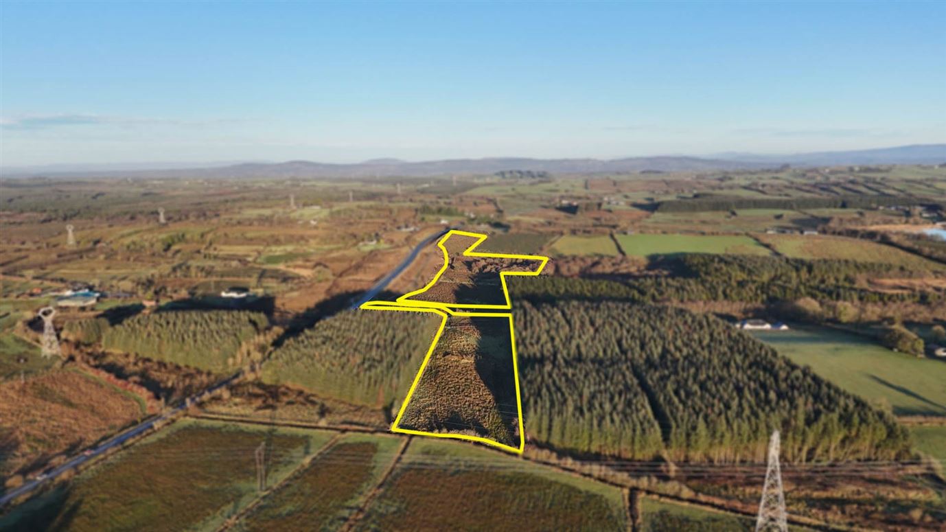 Cloonshaghan, Boyle, Roscommon