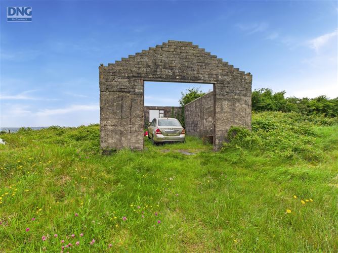 Derelict Cottage, Doonane, Crettyard, Carlow, Co.Laois